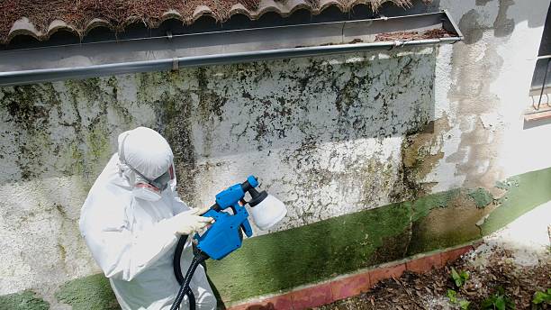 Trusted Mold Removal service in Lumberville, PA - Cheap Mold Removal